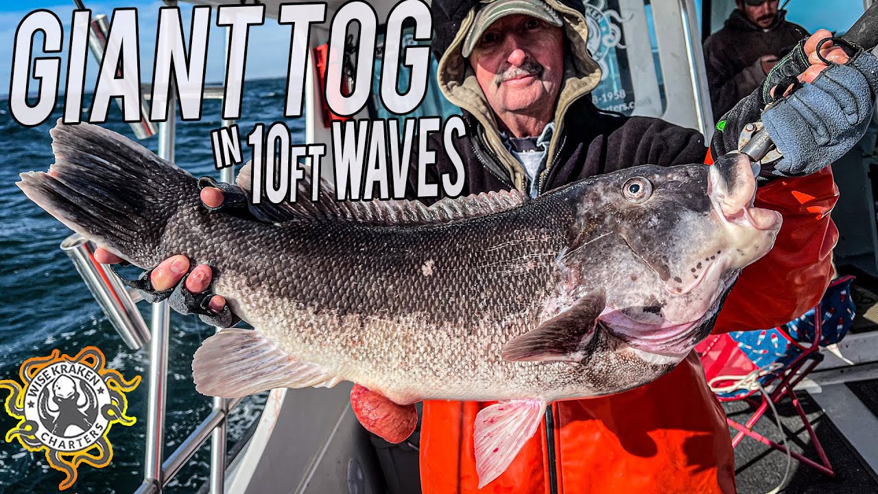 BIG TAUTOG in MASSIVE WAVES! Charter Boat Fishing Block Island