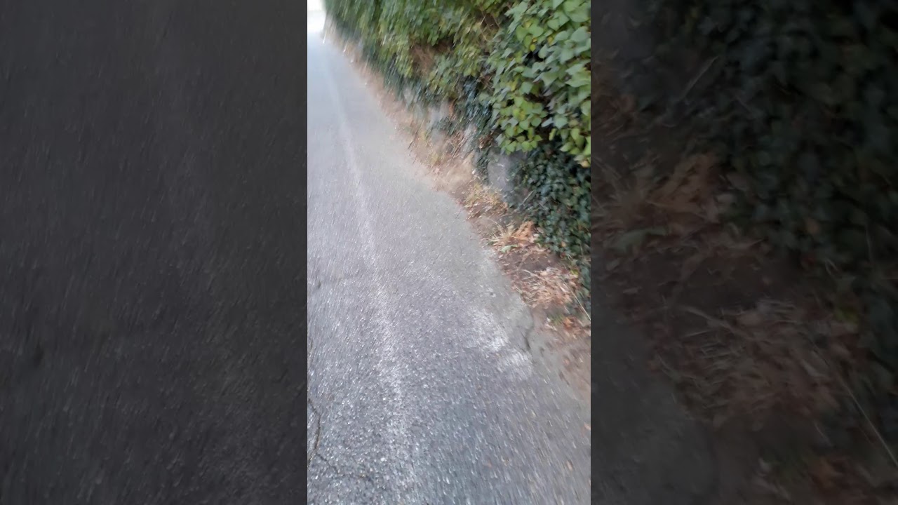 Strade di Castiglione olona