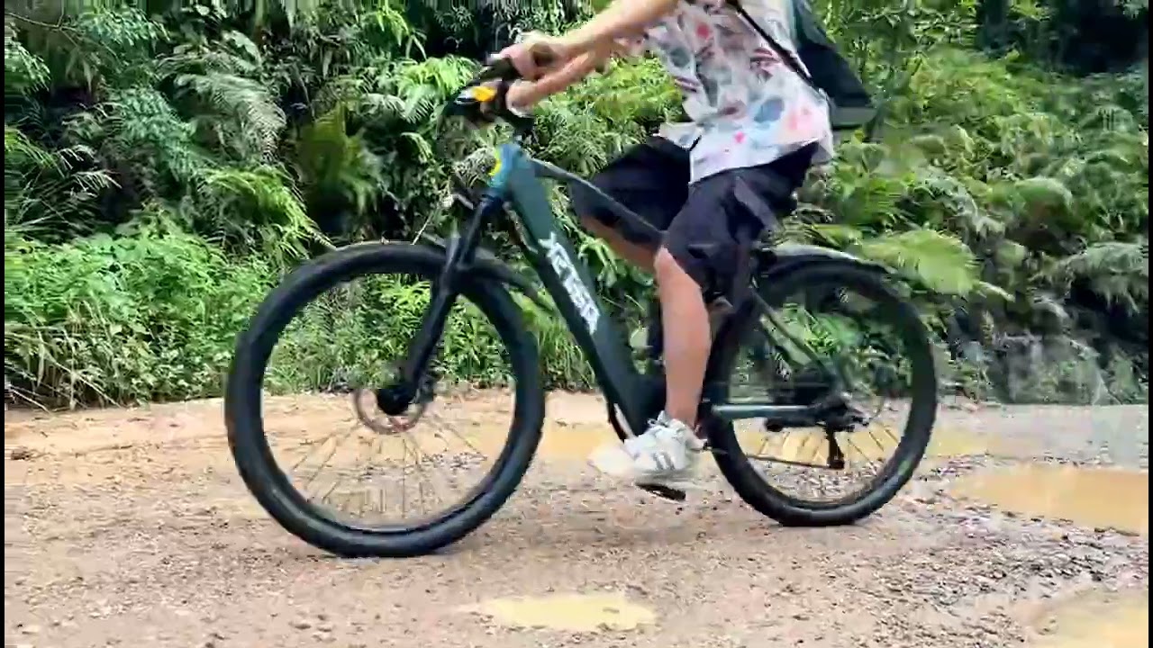 Electric Bike for Adults with Peak 750W Brushless Motor,40Miles 25MPH
