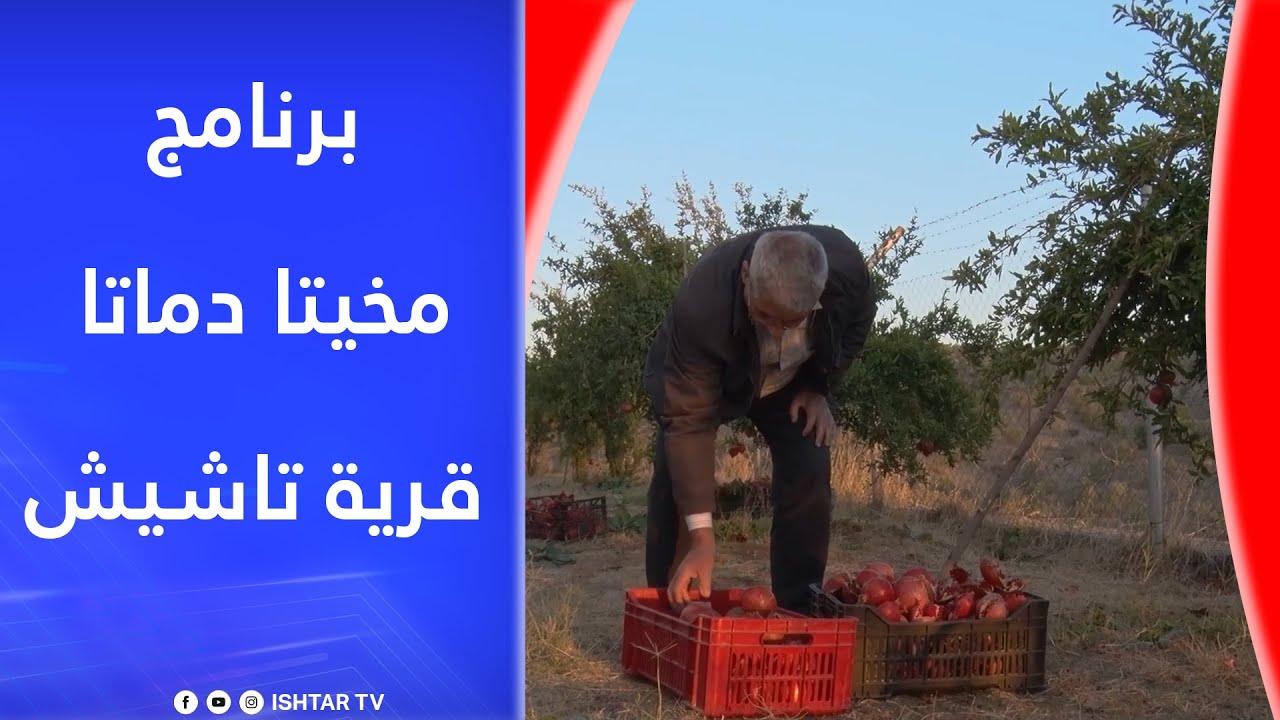 مخيتا دماتا - قرية تاشيش