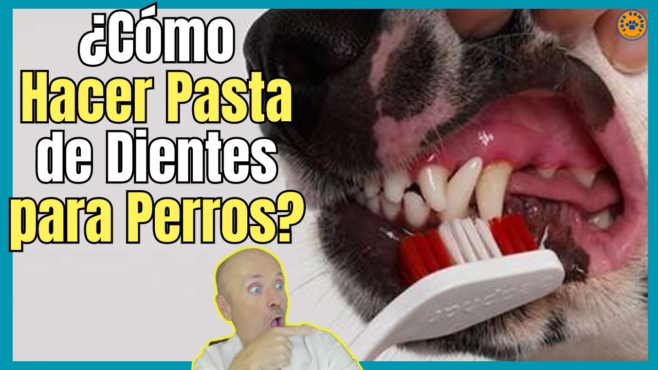 🔴 ¿COMO HACER PASTA DE DIENTES CASERA PARA PERROS? 🔴