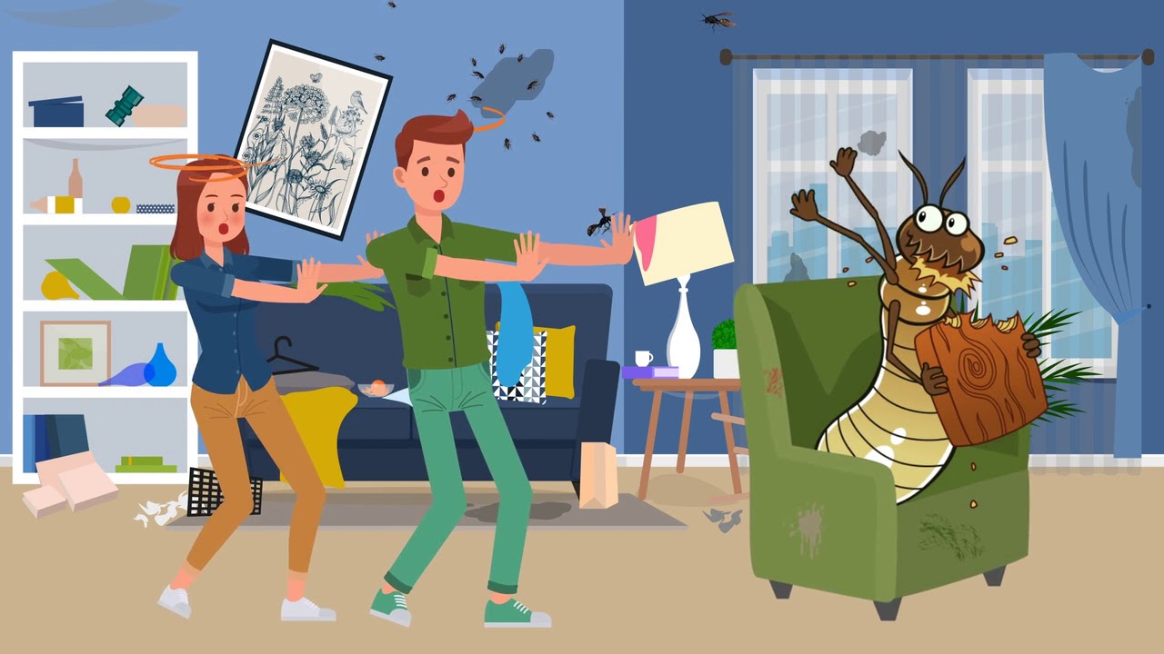 INFOGRAPHICS   pest control cartoon infographic animated ad