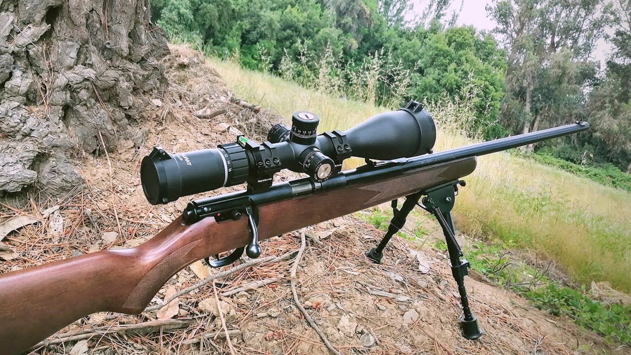 Savage 93 G calibre 22 Magnum: 150 METROS (Browning BPR .22 Magnum AMMO)