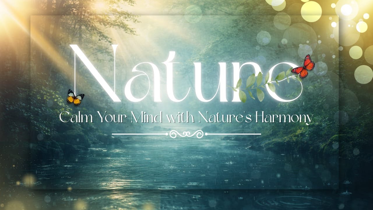 Unlocking the Science of Deep Sleep: Why You Need It