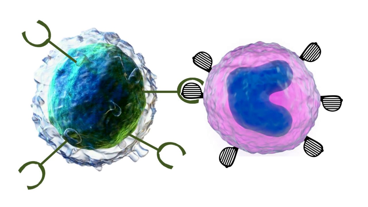 Vaccination | Simplify Science