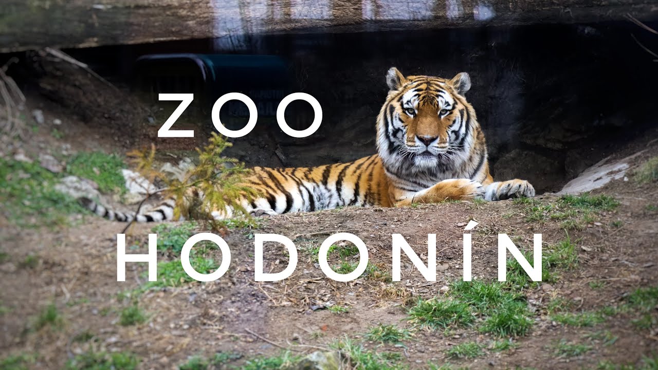 Zoo Hodonín 2022