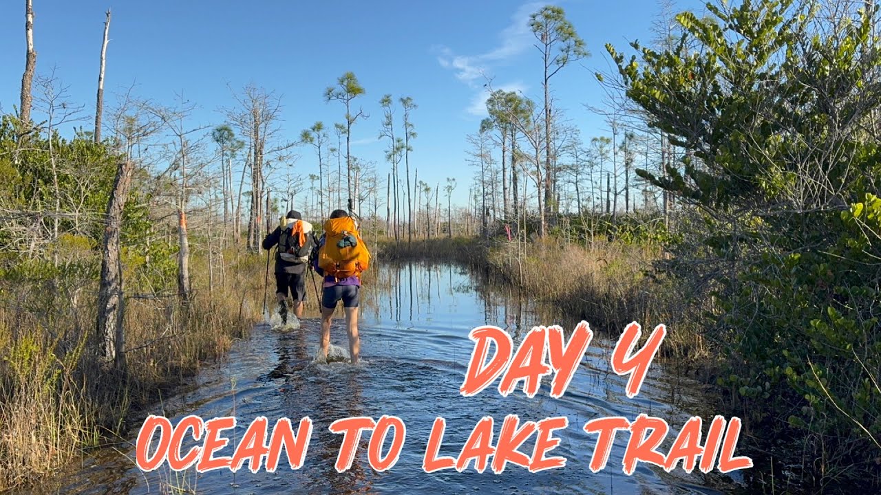 Ocean to Lake Trail Thru Hike - Day 4: Today Was a Swampy and Eventful Day!