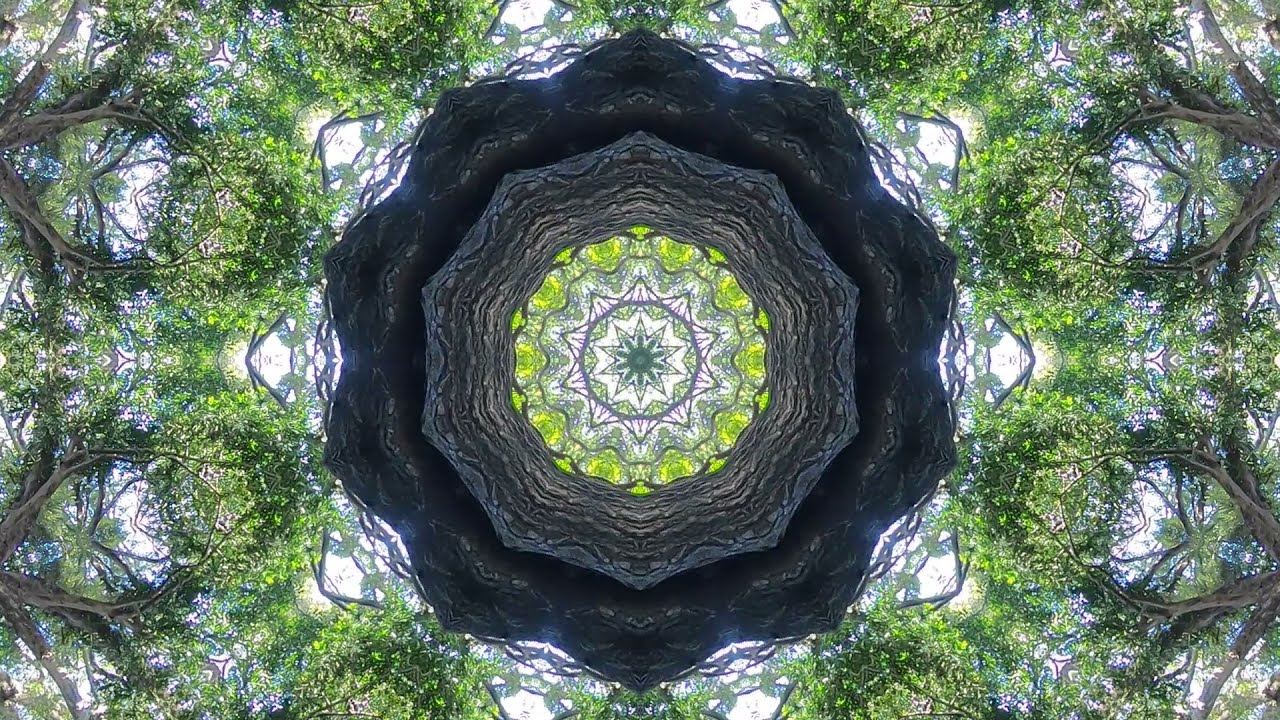 アヤワスカ儀式の歌/イカロス/シャーマン/シャーマニズム/マパチョ/DMT /ジメチルトリプタミン//変性意識/カマロンガ/カーピ/チャクルーナ