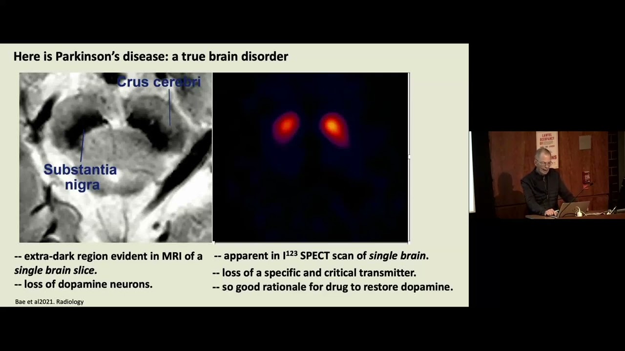 A Neuroscientist Evaluates the Standard Biological Model of Depression