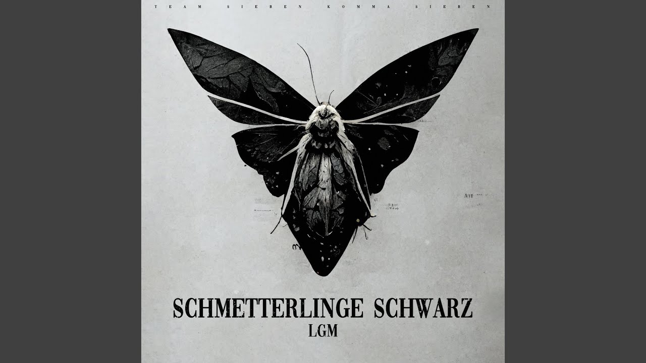 Schmetterlinge Schwarz