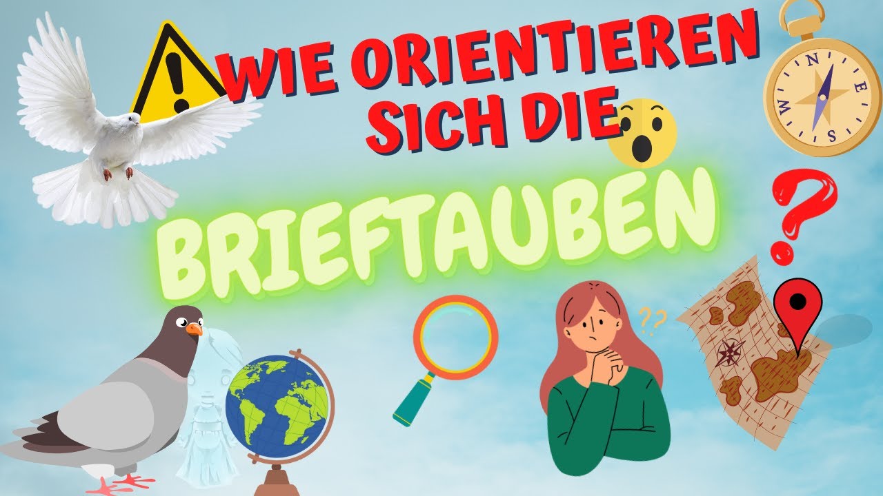 🕊️ Wie orientieren sich Brieftauben?