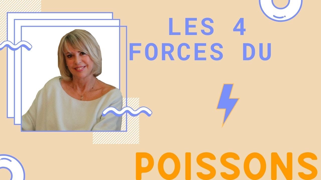 Les 4 forces ⚡️ des 