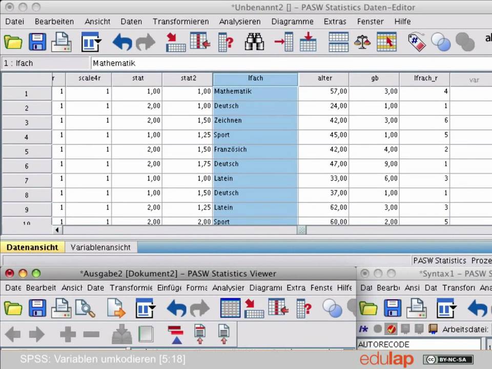 SPSS: Umkodieren von Variablen