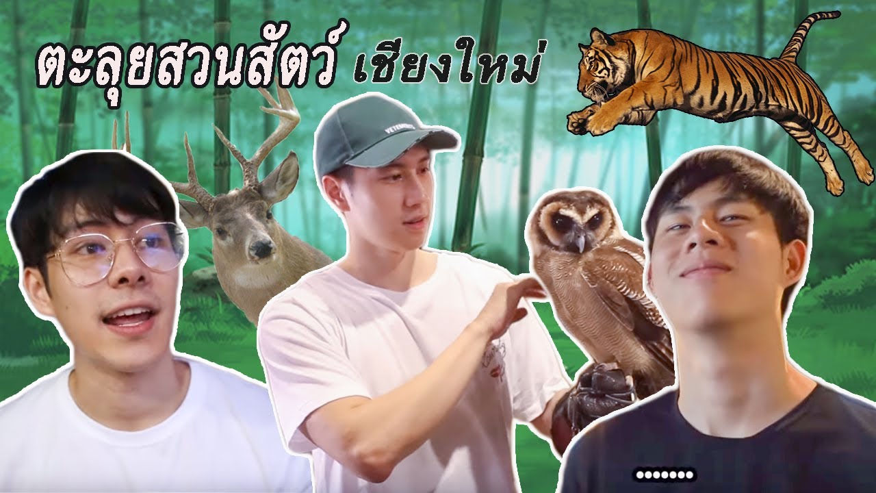 เหมาแพคบ้านดีต่อใจ - Mommy Pear พา 3 หนุ่มตะลุยสวนสัตว์เชียงใหม่