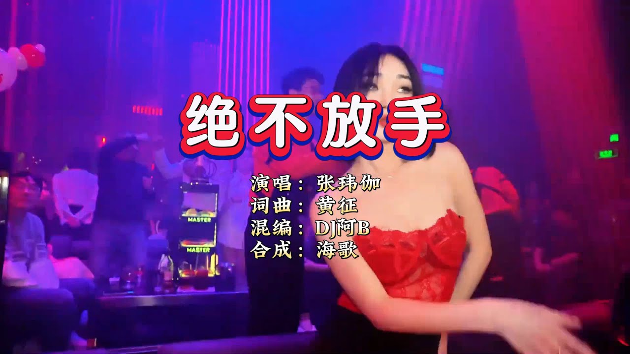 张玮伽《绝不放手》DJ阿B ProgHouse Rmx KTV 导唱字幕 （备有伴奏视频）