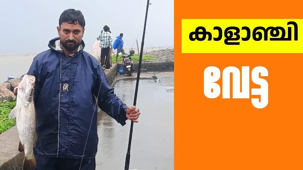 കാളാഞ്ചി വേട്ട #fishing #shortsfeed 