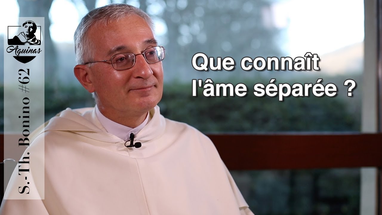 S.-Th. Bonino #62 : Que connaît l'âme séparée ? (S. Th. I, 89 ; Q. D. Anima)