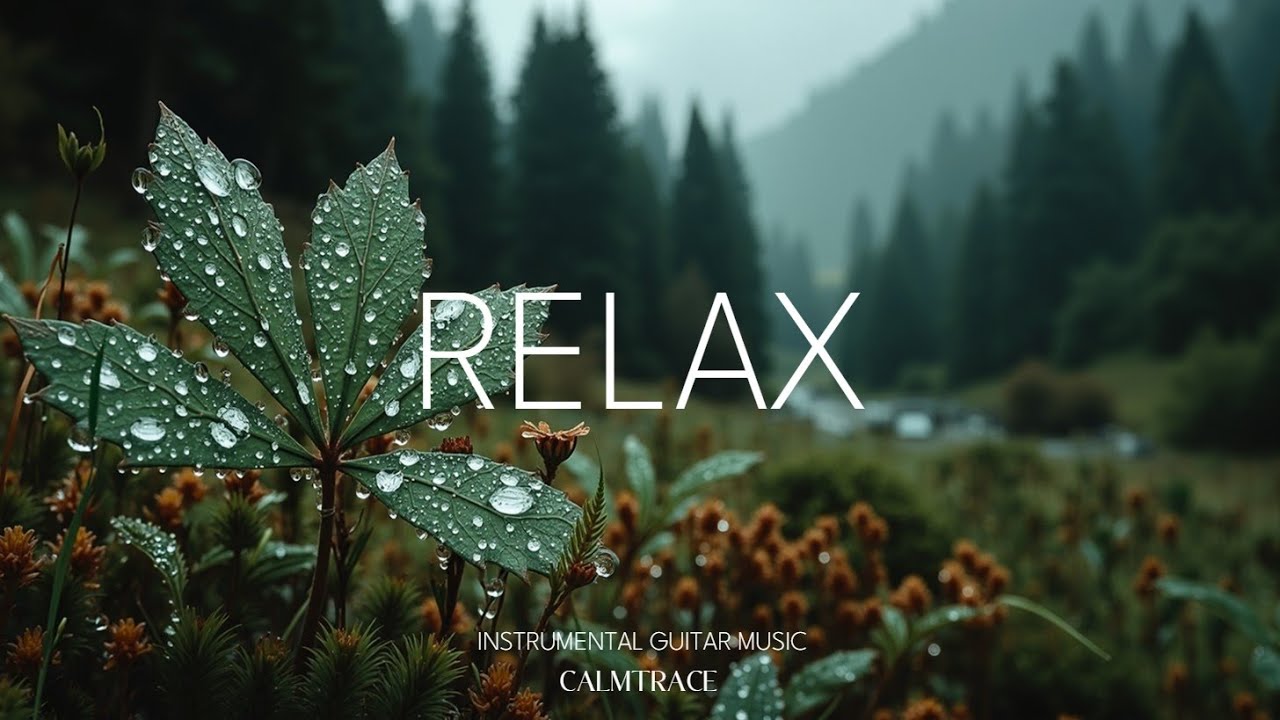 Расслабляющая гитарная музыка ~ Спокойная лесная атмосфера для сна и снятия стресса