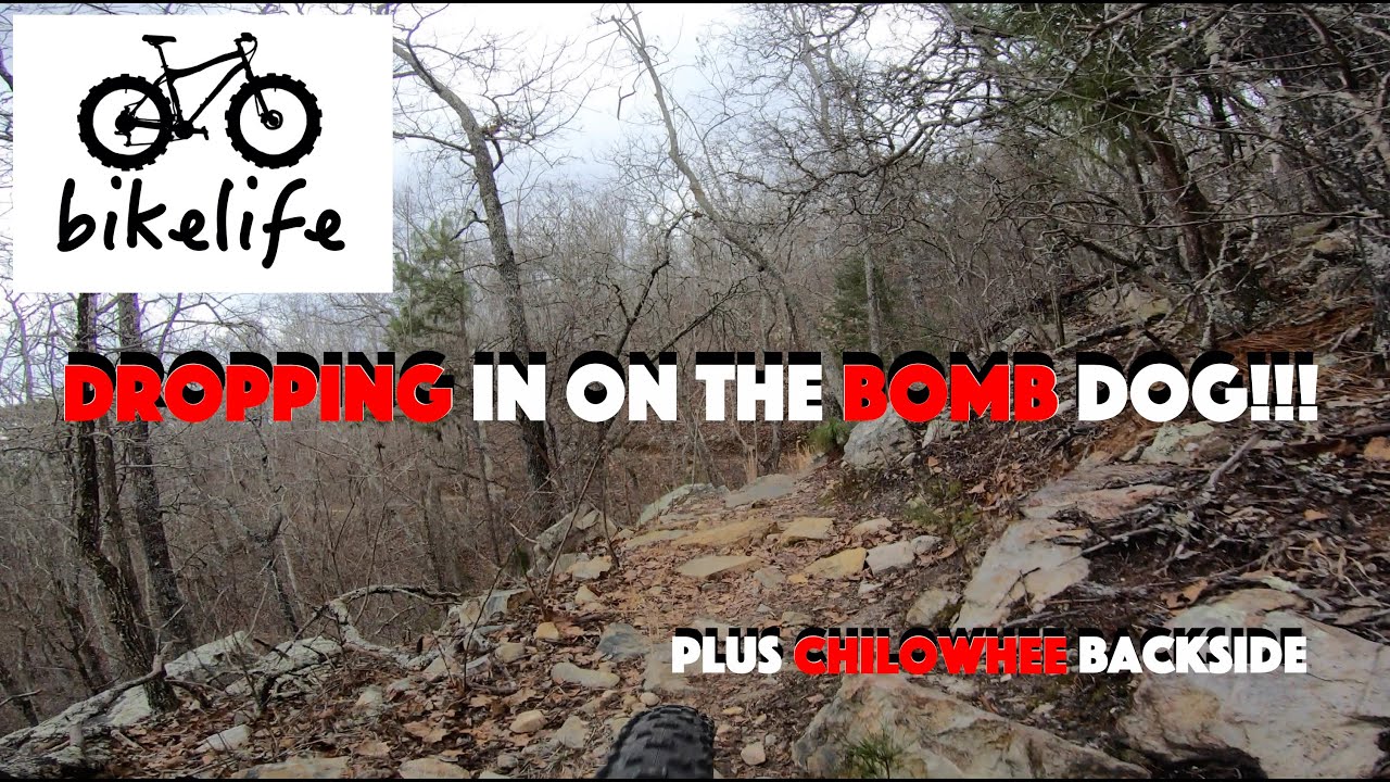 Bomb Dog Mountain Bike Trail - MTBing Coldwater Mountain - Alabama Chilowhee MTB Trail