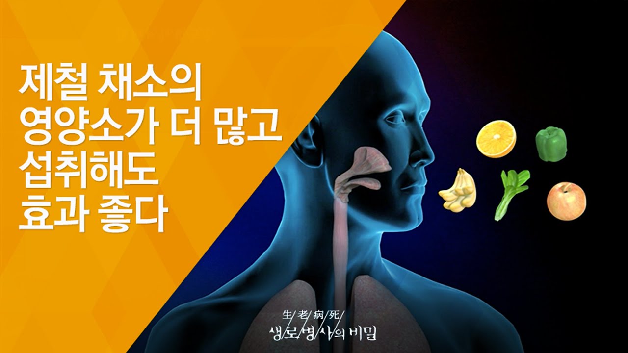 제철 채소의 영양소가 더 많고 섭취해도 효과 좋다 - (2009.11.19_311회 방송)_내 몸을 살리는 밥상, 자연식의 기적