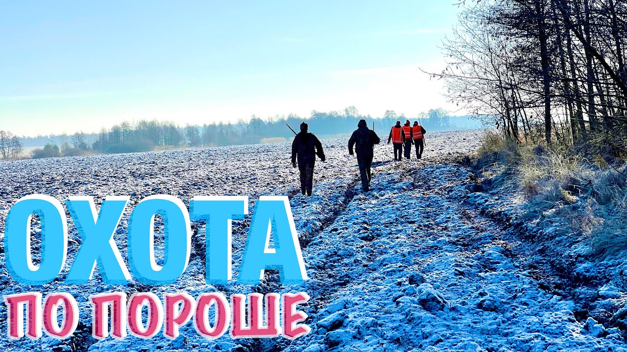 ОХОТА по Первой Пороше