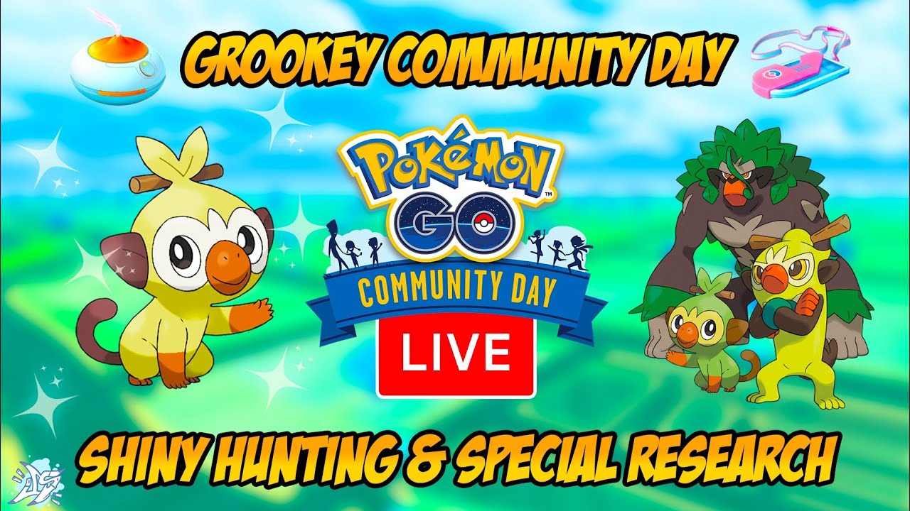 Grookey Community Day Live | Pokemon GO