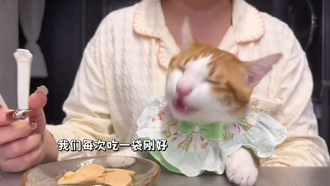 开一袋新口味的荷包蛋冻干～