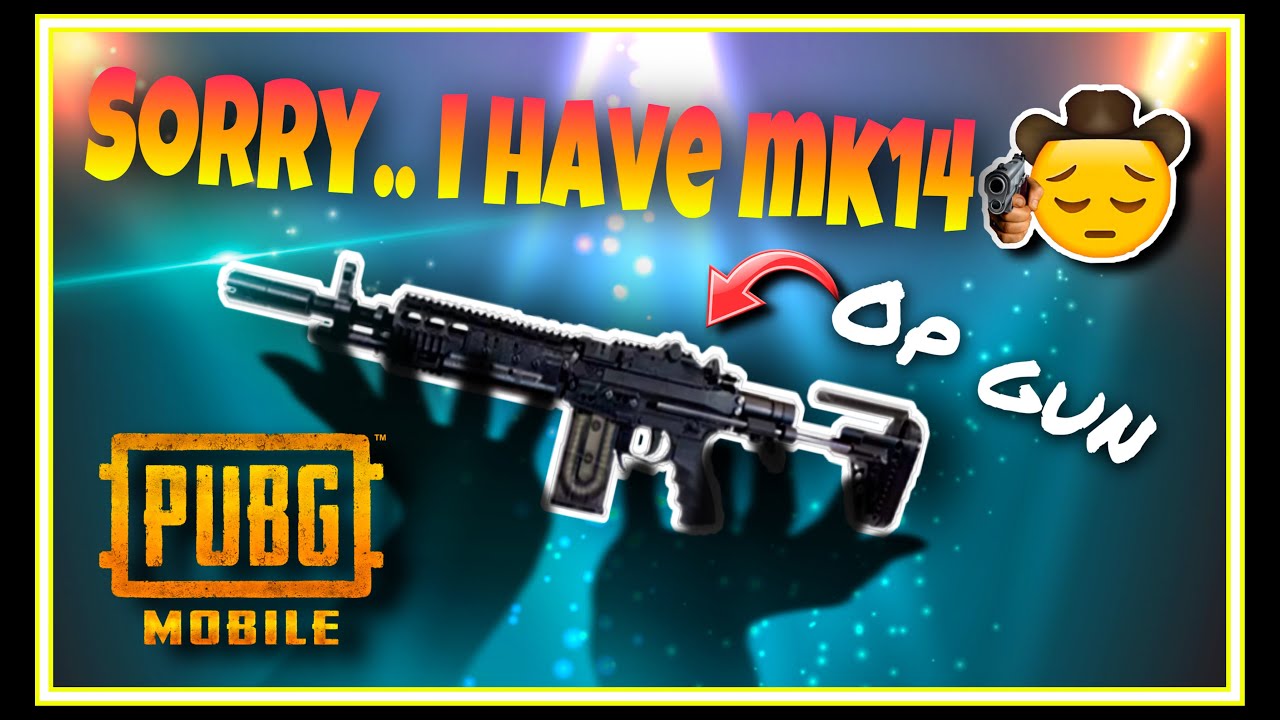 The Reason Why MK14 is BestㅣPUBGMOBILE