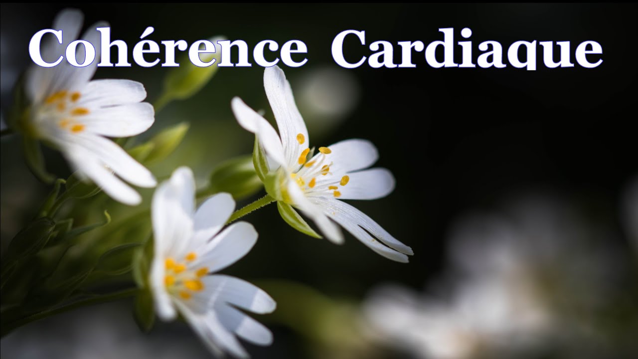 💖 Cohérence Cardiaque Exercices. Exercice n°43