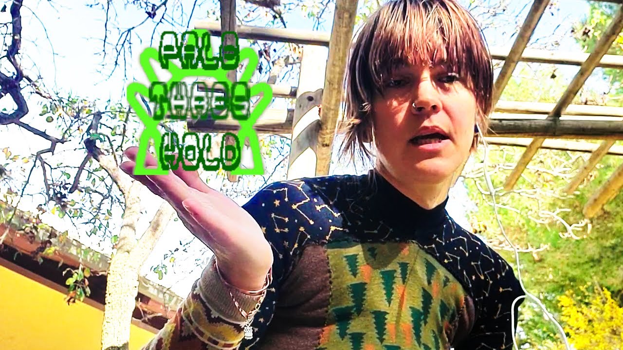 [pale threshold] criteria and standards in the digital age/never lose that feeling