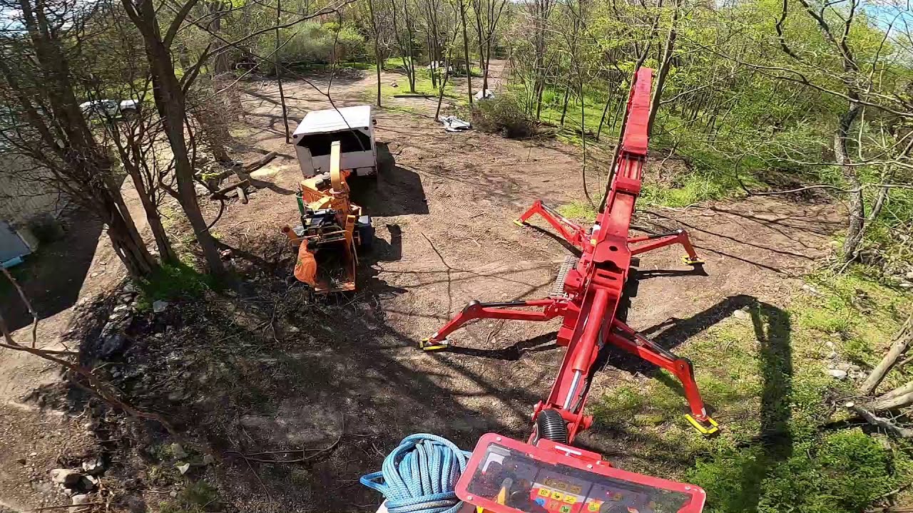 🔴TREE REMOVAL WITH THE SPIDER LIFT 🔴