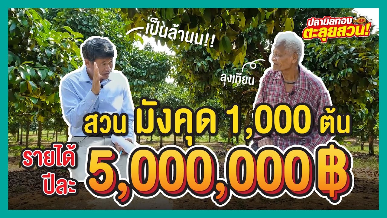 ตะลุยสวน EP.27 ตอน สวนมังคุด 1,000 ต้น ลูกสวย ลูกดก ผิวมัน ก่อนปลูกต้องดู!!!