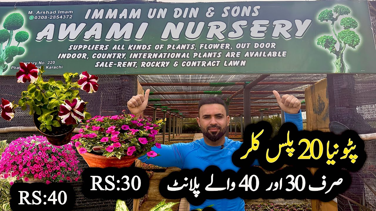 Nursery plants Rs:30/40 plants wholesale price nursery Karachi nursery | Awami Nursery #gardening 