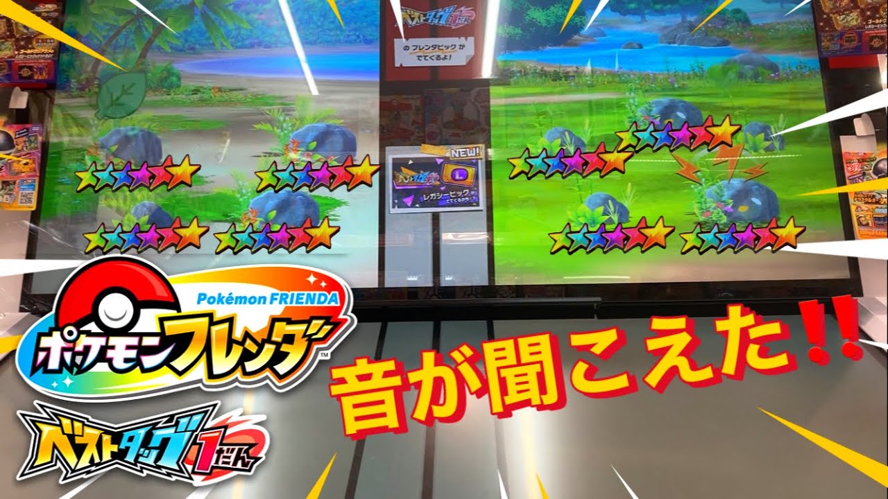【ポケモンフレンダ】 双眼鏡は道を示し、音は真実を示しました😄✨ レガシてどんな音ですか？ベストタッグ1弾