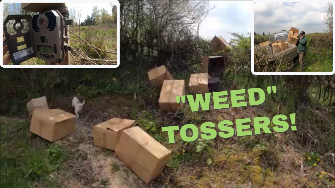 The Fly tipping 