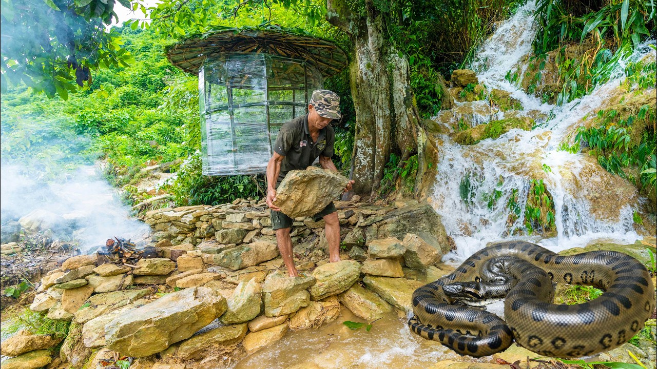 3 Days Camping Alone With Giant Python Build Suspended House With Plastic Wrap To Avoid Heavy Rain