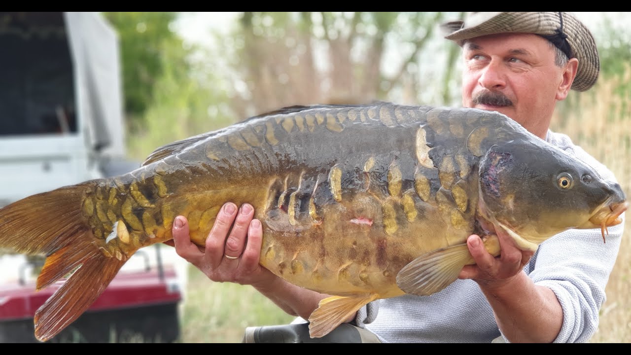 Majówka 2020 PODWODNY LAS NIEBOCZOWY woda PZW 601