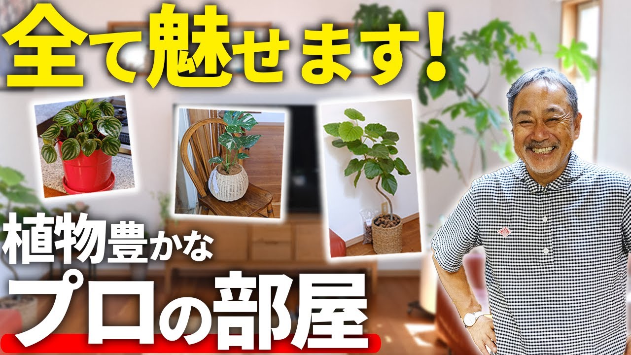 【マネしたい！】プロの部屋庭を大公開！オススメの観葉植物や管理方法など有益な情報盛りだくさん！【植物】