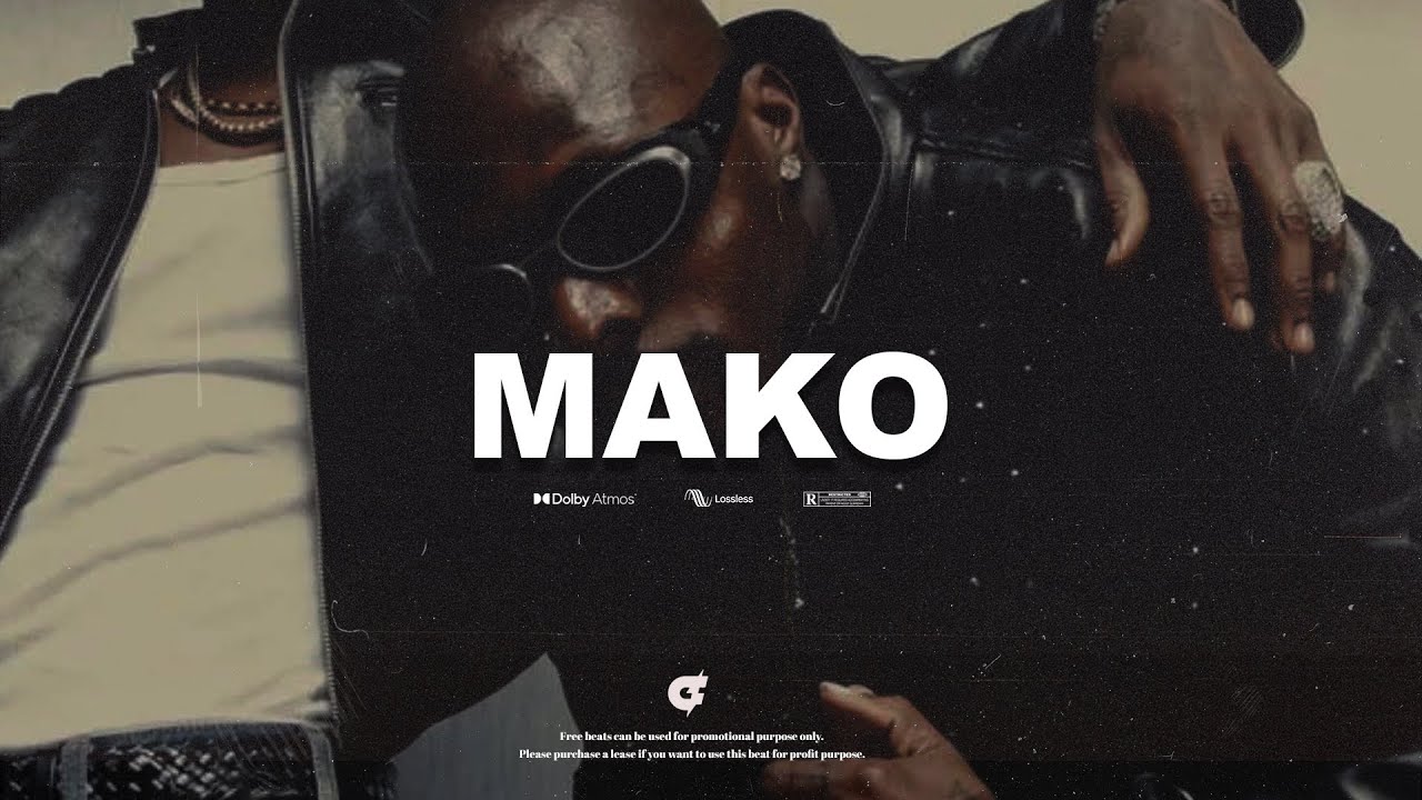Asake x Seyi Vibez Amapiano Type Beat | Afrobeat Instrumental 2026 "MAKO"