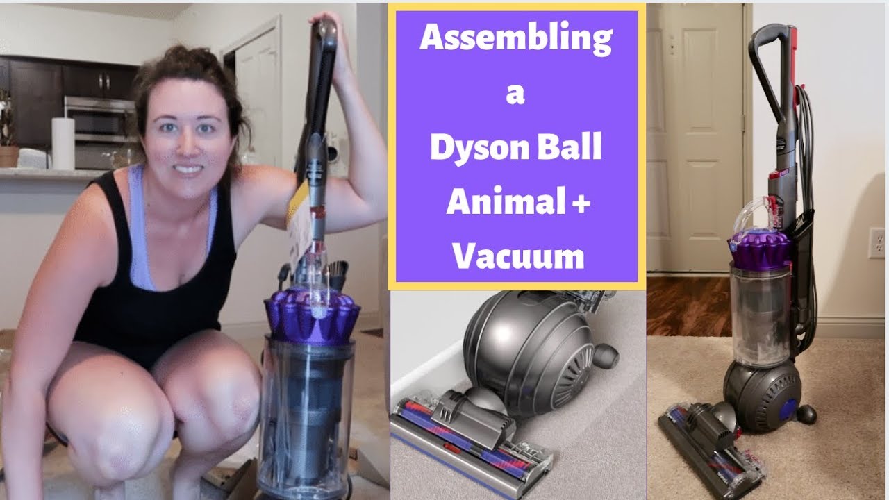 Dyson Ball Animal + 2 Vacuum Assembly