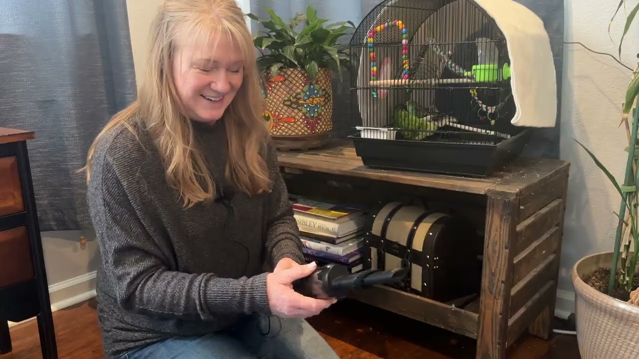 Review of cordless handheld vacuum