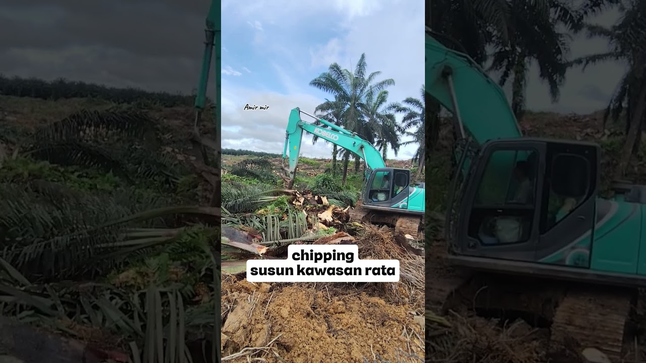 Chipping sawit penanaman semula #fyp #trending #excavator 