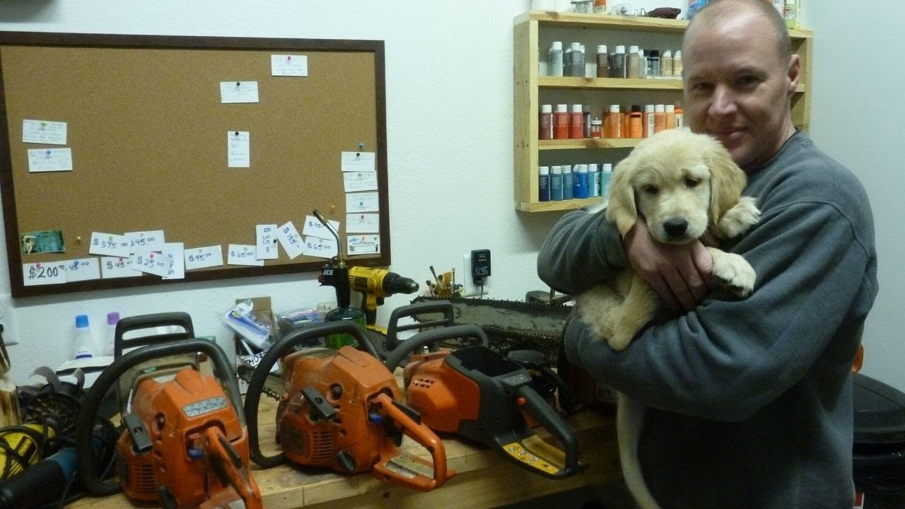 Tools I Use For Chainsaw Carving And Q&A!!