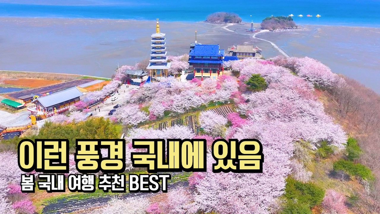 놓치면 후회할 벚꽃 명소 국내 여행 BEST #여행추천 #국내여행