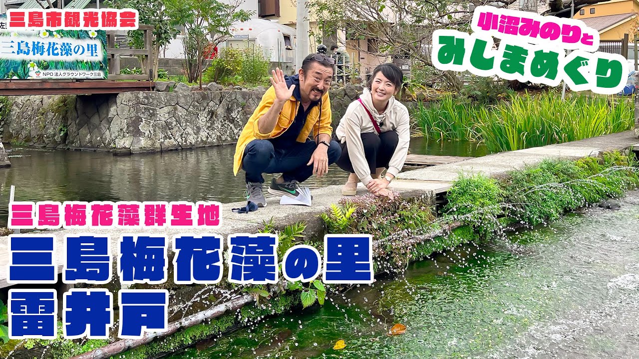 「小沼みのりとみしまめぐり」三島市内編 ／三島梅花藻の里・雷井戸「三島梅花藻群生スポットめぐり」