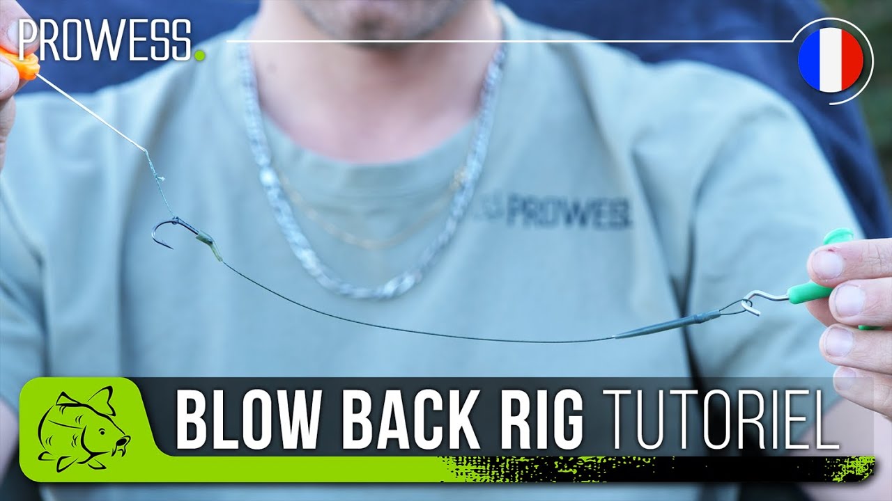 Montage carpe : le Blow Back Rig