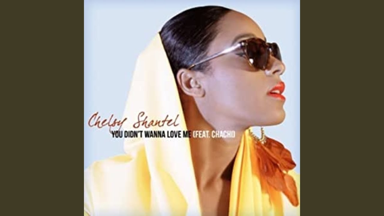 You Didn't Wanna Love Me