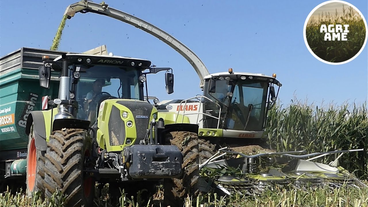 Trinciatura mais | Claas Jaguar 960 | 2x Claas, Case, NH | Agromeccanica Rocchi & Az. Agr. Sporchia
