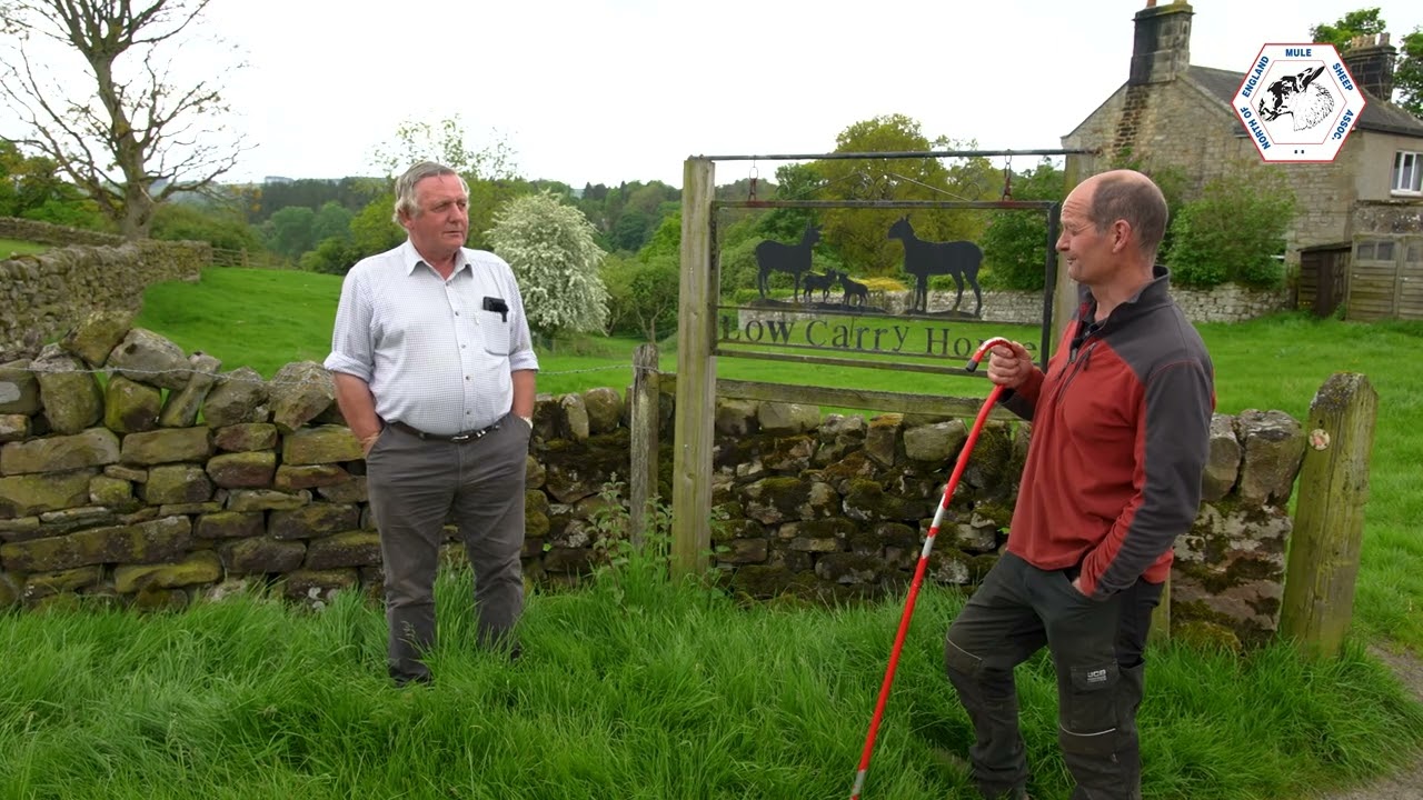 Low Carry House Farm Focus