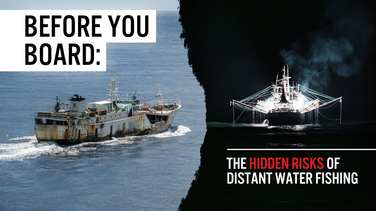 Before You Board: The Hidden Risks of Distant Water Fishing
